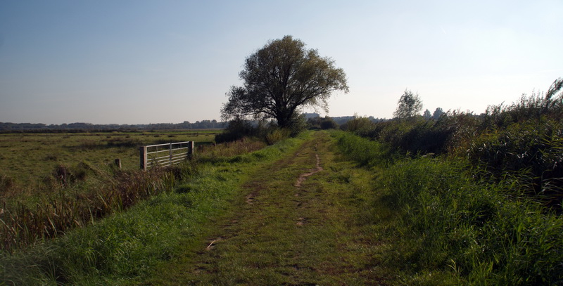 bertus 1_106